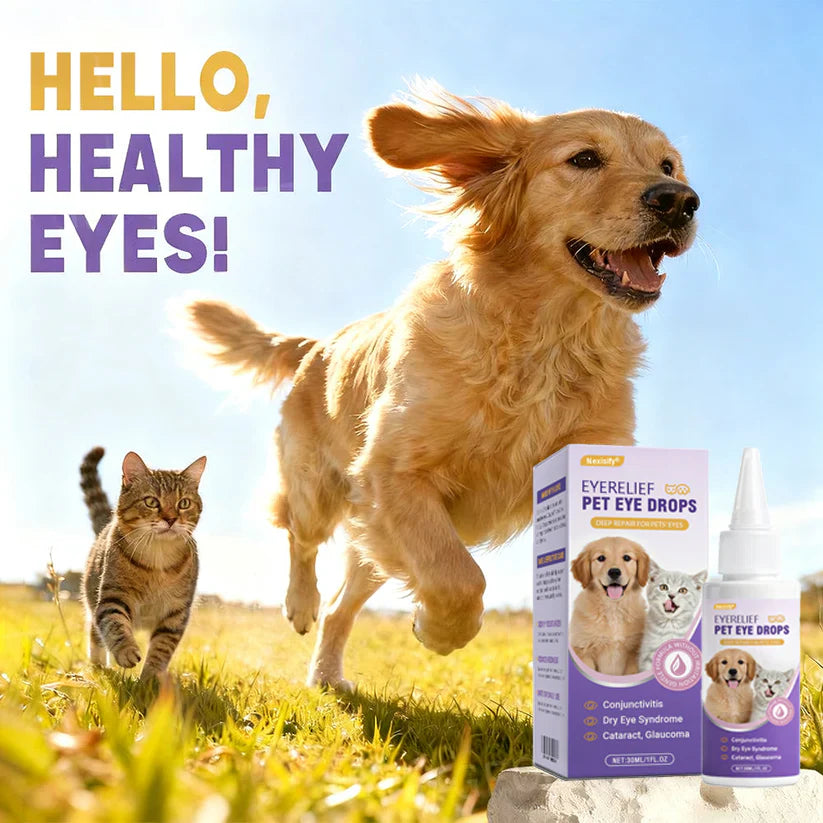 👩‍⚕️Nexisify® EyeRelief Pet Eye Drops ✅ FDA-Approved | Fast Relief for Conjunctivitis, Dry Eyes, Cataracts & Keratitis 🐶🐶