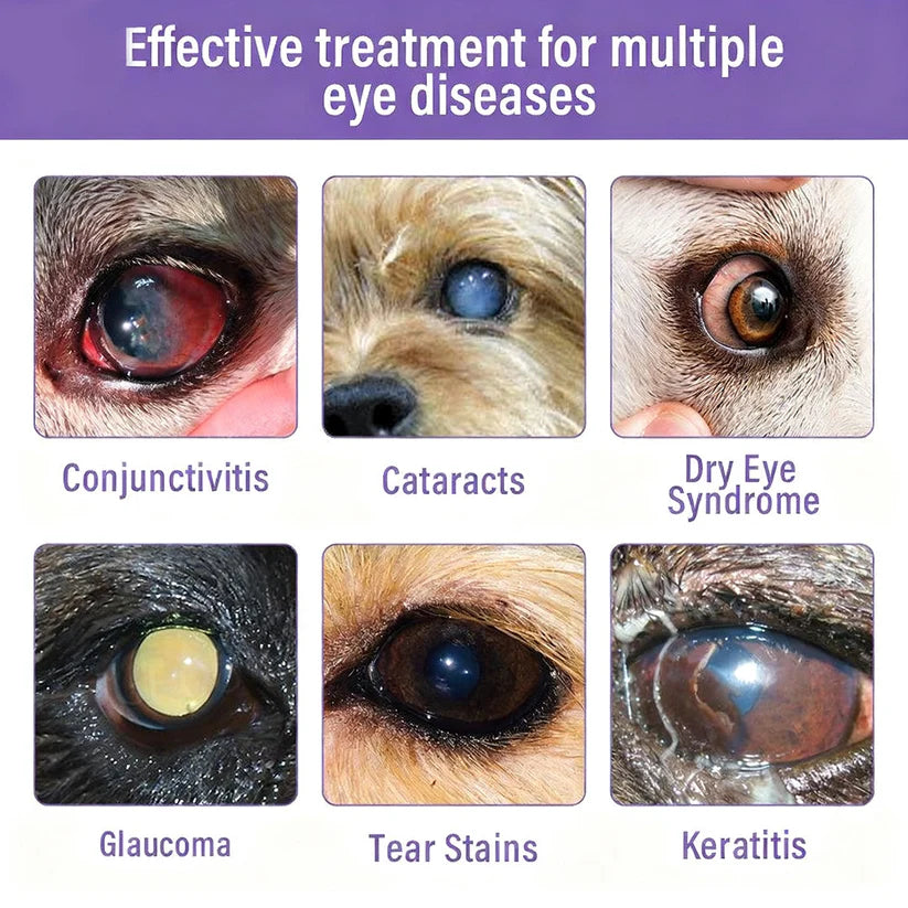 👩‍⚕️Nexisify® EyeRelief Pet Eye Drops ✅ FDA-Approved | Fast Relief for Conjunctivitis, Dry Eyes, Cataracts & Keratitis 🐶🐶