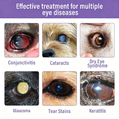 👩‍⚕️Nexisify® EyeRelief Pet Eye Drops ✅ FDA-Approved | Fast Relief for Conjunctivitis, Dry Eyes, Cataracts & Keratitis 🐶🐶